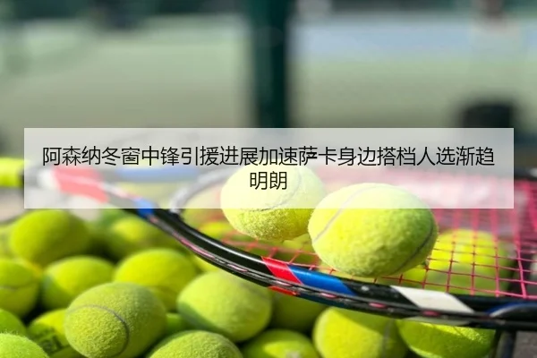 阿森纳冬窗中锋引援进展加速萨卡身边搭档人选渐趋明朗